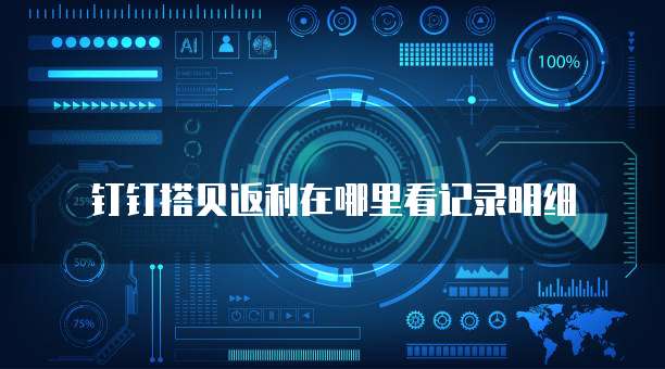 钉钉搭贝返利在哪里看记录明细
