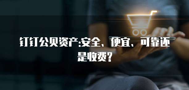 钉钉公贝资产:安全、便宜、可靠还是收费?