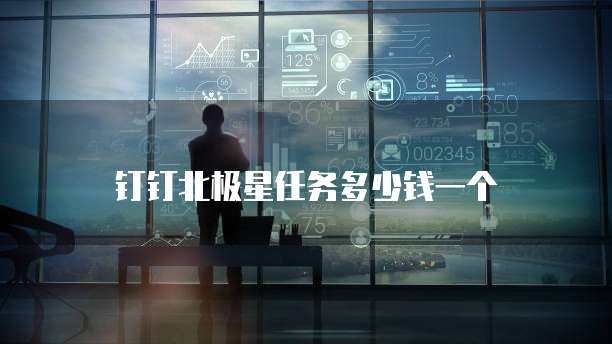 钉钉北极星任务多少钱一个