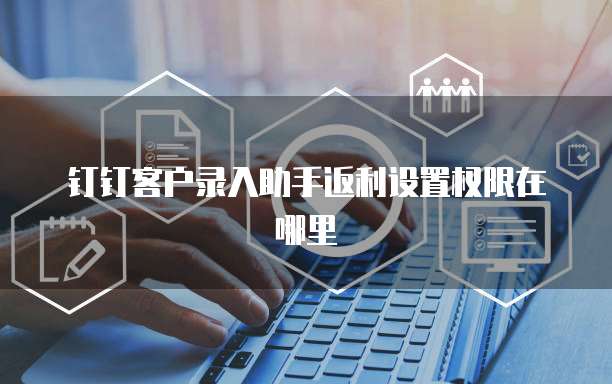 钉钉客户录入助手返利设置权限在哪里
