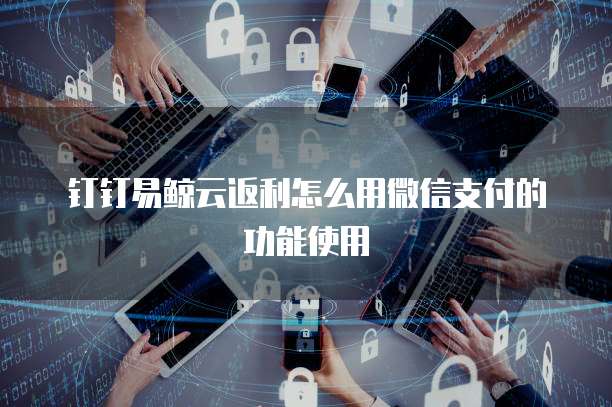 钉钉易鲸云返利怎么用微信支付的功能使用