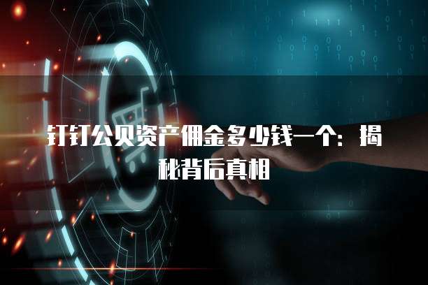 钉钉公贝资产佣金多少钱一个:揭秘背后真相