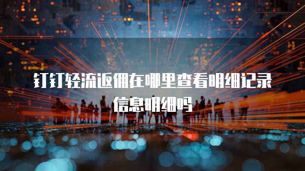 钉钉轻流返佣在哪里查看明细记录信息明细吗