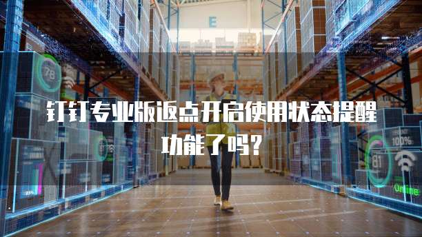 钉钉专业版返点开启使用状态提醒功能了吗?