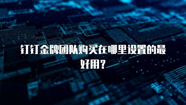 钉钉金牌团队购买在哪里设置的最好用?
