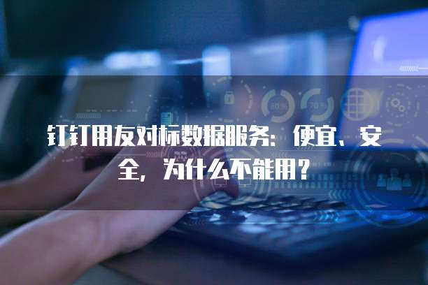 钉钉用友对标数据服务：便宜、安全，为什么不能用？