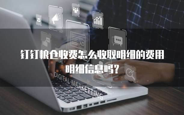 钉钉粮仓收费怎么收取明细的费用明细信息吗?