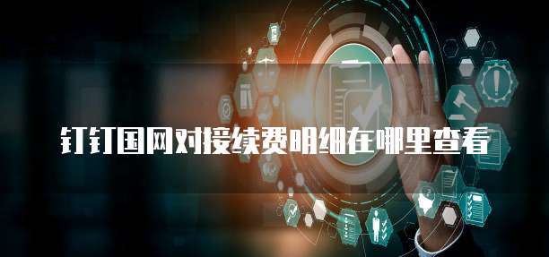 钉钉国网对接续费明细在哪里查看
