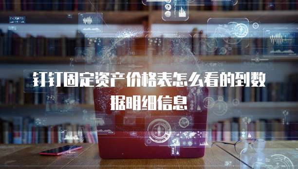 钉钉固定资产价格表怎么看的到数据明细信息