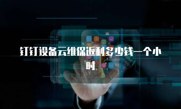 钉钉设备云维保返利多少钱一个小时