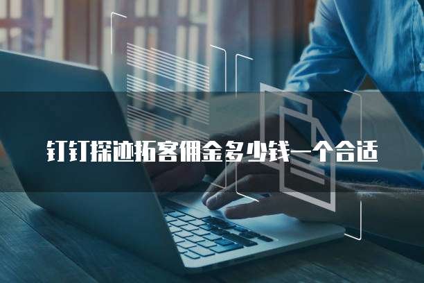 钉钉探迹拓客佣金多少钱一个合适