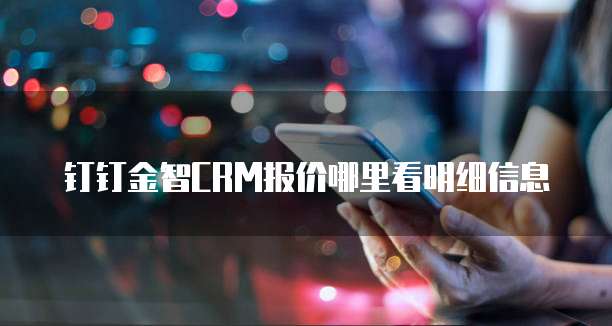 钉钉金智CRM报价哪里看明细信息