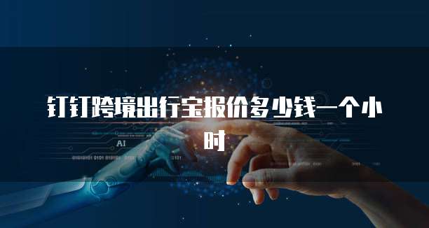钉钉跨境出行宝报价多少钱一个小时