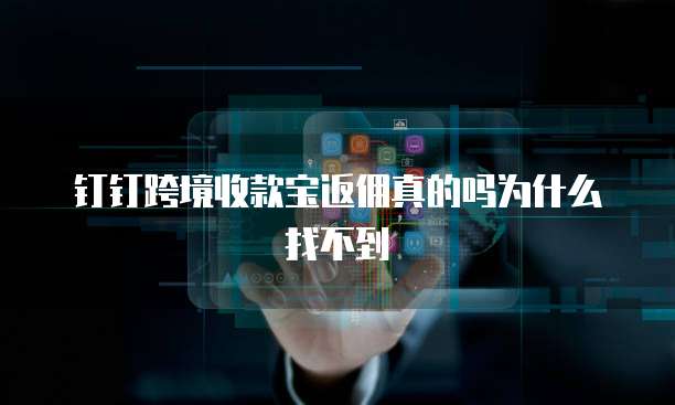 钉钉跨境收款宝返佣真的吗为什么找不到