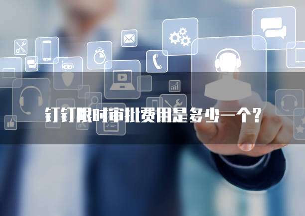 钉钉限时审批费用是多少一个?
