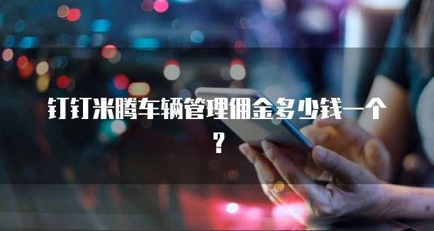 钉钉米腾车辆管理佣金多少钱一个?