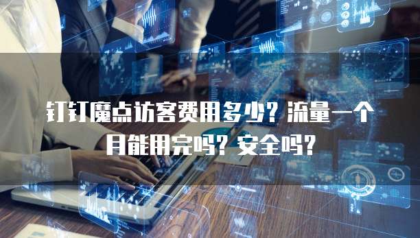 钉钉魔点访客费用多少?流量一个月能用完吗?安全吗?