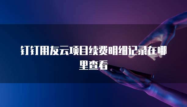 钉钉用友云项目续费明细记录在哪里查看