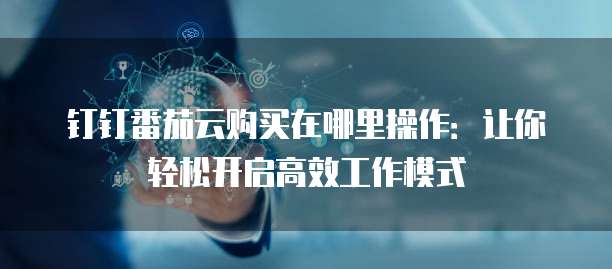 钉钉番茄云购买在哪里操作:让你轻松开启高效工作模式
