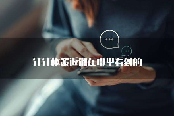 钉钉枢策返佣在哪里看到的