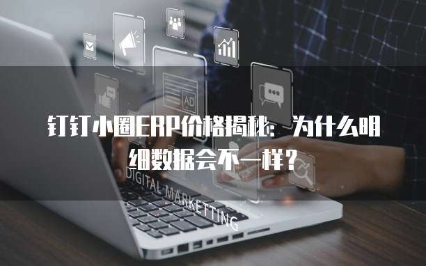 钉钉小圈ERP价格揭秘:为什么明细数据会不一样?