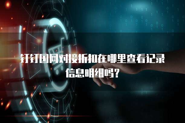 钉钉国网对接折扣在哪里查看记录信息明细吗?