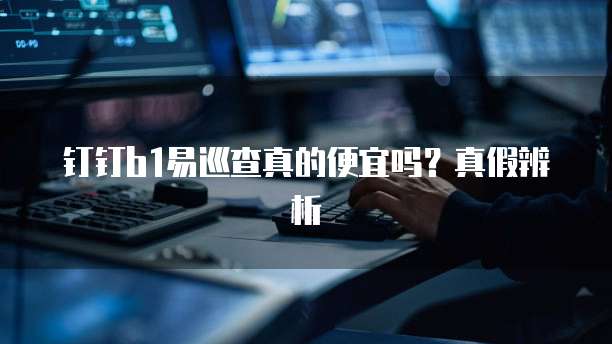 钉钉b1易巡查真的便宜吗?真假辨析