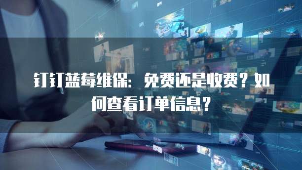 钉钉蓝莓维保:免费还是收费?如何查看订单信息?