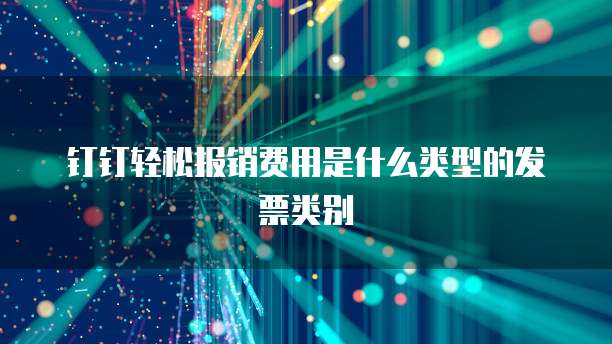 钉钉轻松报销费用是什么类型的发票类别