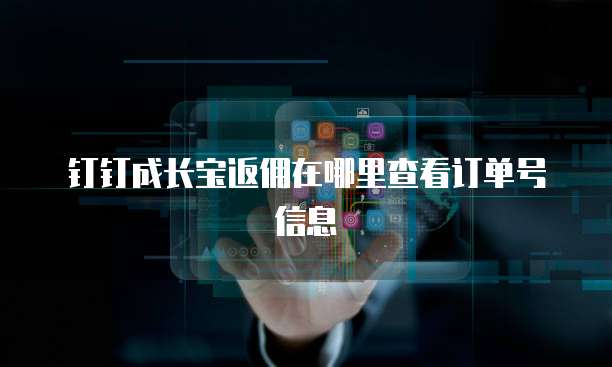 钉钉成长宝返佣在哪里查看订单号信息