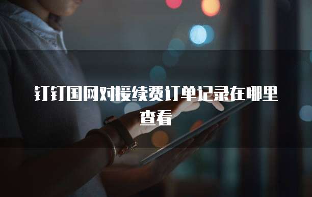 钉钉国网对接续费订单记录在哪里查看