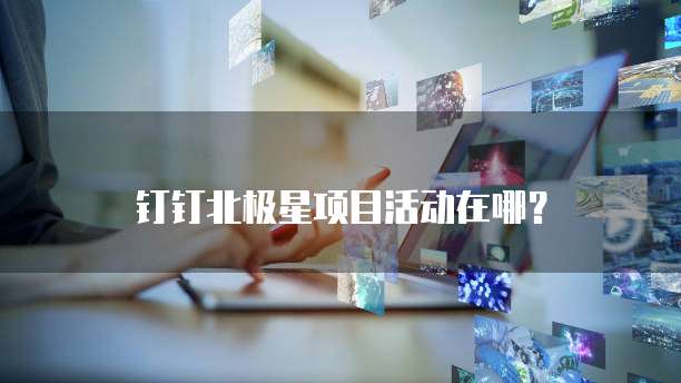 钉钉北极星项目活动在哪?