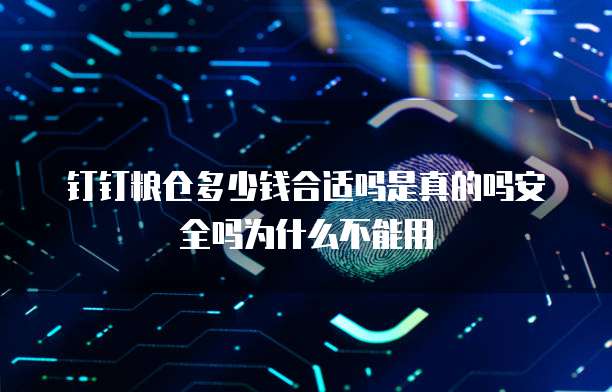 钉钉粮仓多少钱合适吗是真的吗安全吗为什么不能用