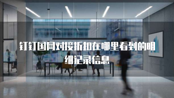 钉钉国网对接折扣在哪里看到的明细记录信息