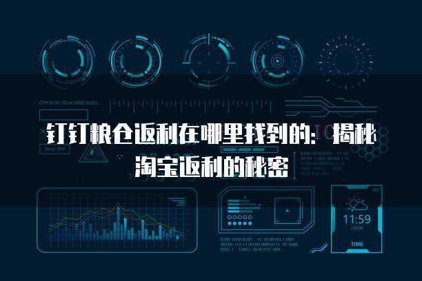 钉钉粮仓返利在哪里找到的:揭秘淘宝返利的秘密