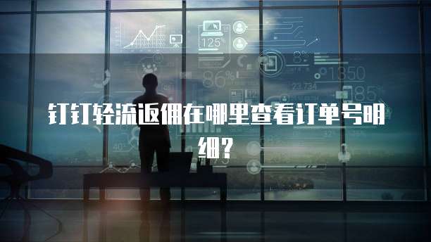 钉钉轻流返佣在哪里查看订单号明细?