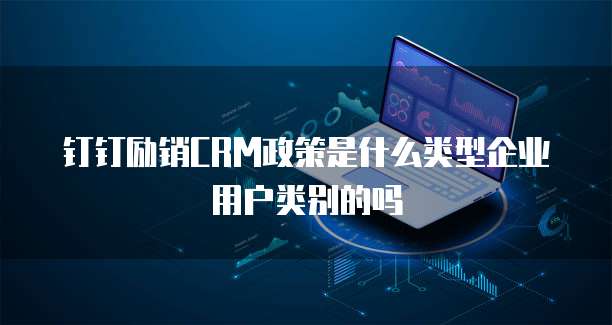 钉钉励销CRM政策是什么类型企业用户类别的吗