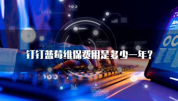 钉钉蓝莓维保费用是多少一年?