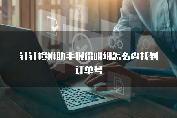 钉钉橙狮助手报价明细怎么查找到订单号