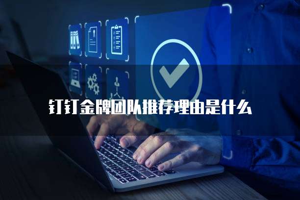 钉钉金牌团队推荐理由是什么