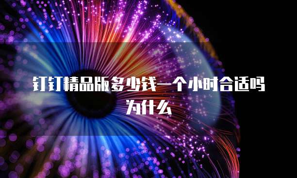 钉钉精品版多少钱一个小时合适吗为什么