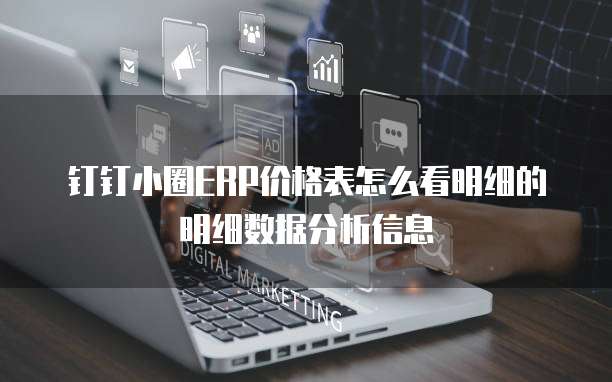 钉钉小圈ERP价格表怎么看明细的明细数据分析信息