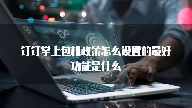 钉钉掌上包机政策怎么设置的最好功能是什么