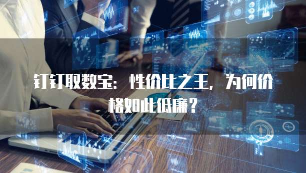 钉钉取数宝:性价比之王,为何价格如此低廉?