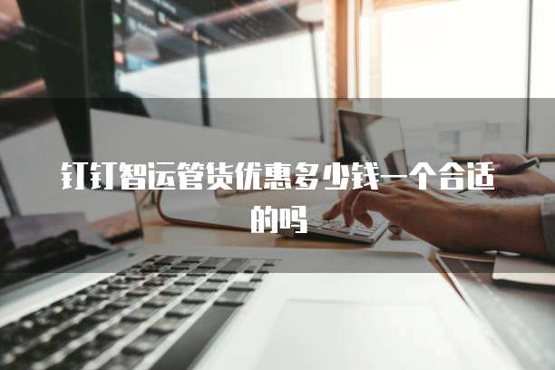 钉钉智运管货优惠多少钱一个合适的吗