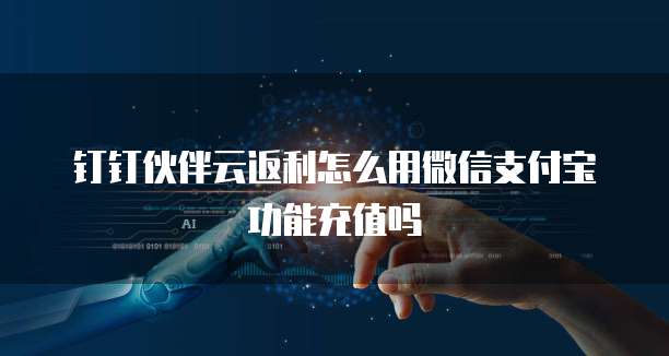 钉钉伙伴云返利怎么用微信支付宝功能充值吗