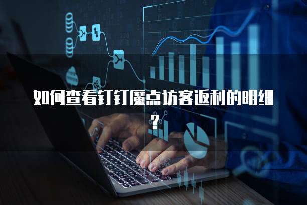 如何查看钉钉魔点访客返利的明细?