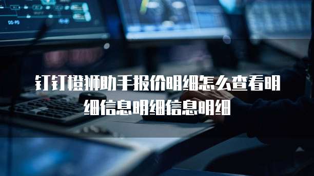 钉钉橙狮助手报价明细怎么查看明细信息明细信息明细