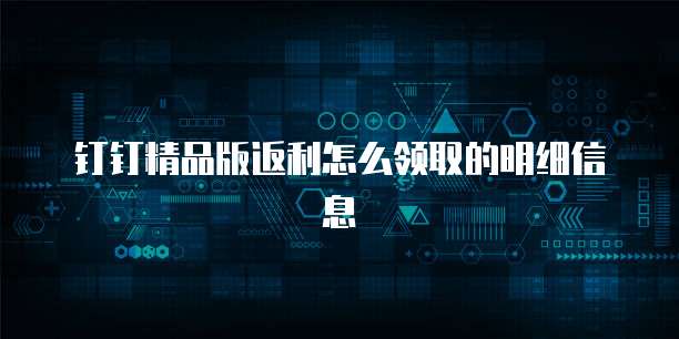 钉钉精品版返利怎么领取的明细信息