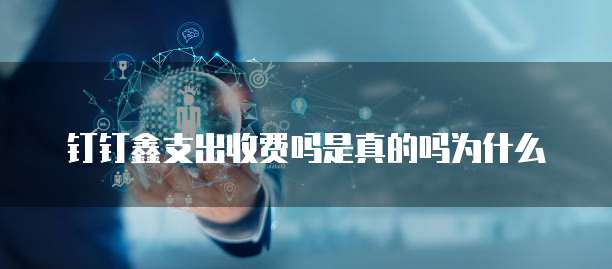 钉钉鑫支出收费吗是真的吗为什么